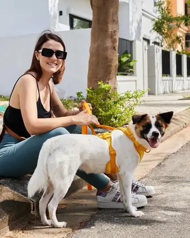 Nên Làm Gì Khi Phải Để Chú Chó Của Bạn Ở Nhà Một Mình? Nên Làm Gì Khi Phải Để Chú Chó Của Bạn Ở Nhà Một Mình?