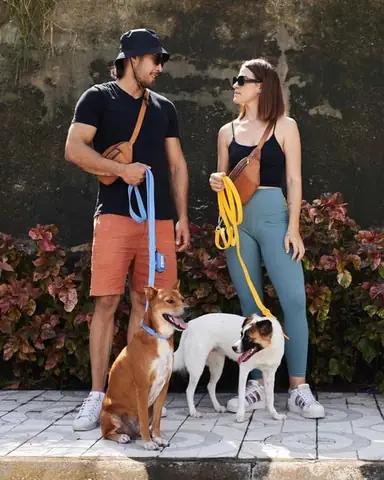 Nên Làm Gì Khi Phải Để Chú Chó Của Bạn Ở Nhà Một Mình? Nên Làm Gì Khi Phải Để Chú Chó Của Bạn Ở Nhà Một Mình?