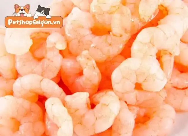 Nguy Hiểm Mà Tôm Mang Lại Cho Chó