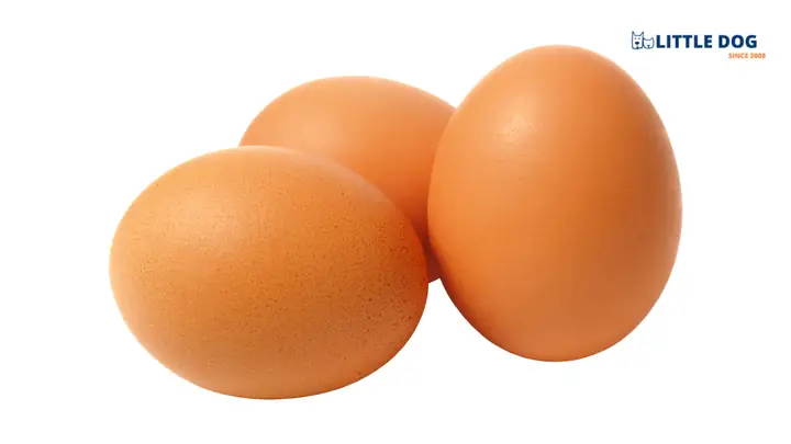 Chó Poodle Ăn Gì Đẹp Lông