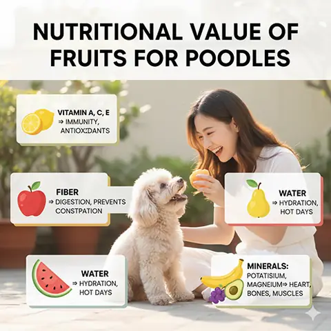 Giá Trị Dinh Dưỡng Của Hoa Quả Với Chó Poodle 📊
