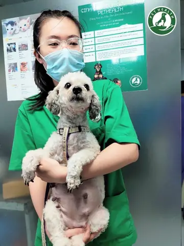 Giai Đoạn Ba: Bong Nhau Thai