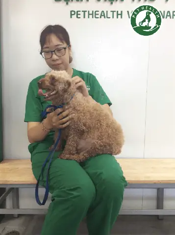 Chăm Sóc Tiền Sản