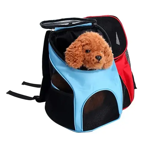 Địu Đựng Poodle Đi Chơi