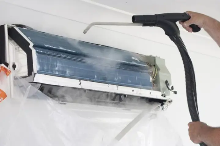 Nhiệt Độ Thích Hợp Cho Chó Poodle Nằm Ngủ Là Bao Nhiêu?