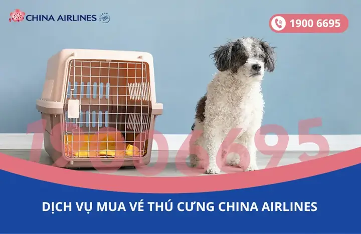 Chó Presa Canario Ở Việt Nam: Hướng Dẫn Chăm Sóc Và Nuôi Dưỡng Toàn Diện Chó Presa Canario Ở Việt Nam: Hướng Dẫn Chăm Sóc Và Nuôi Dưỡng Toàn Diện