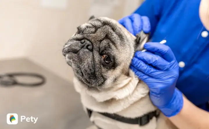 Mức Giá Từ 1 - 4 Triệu