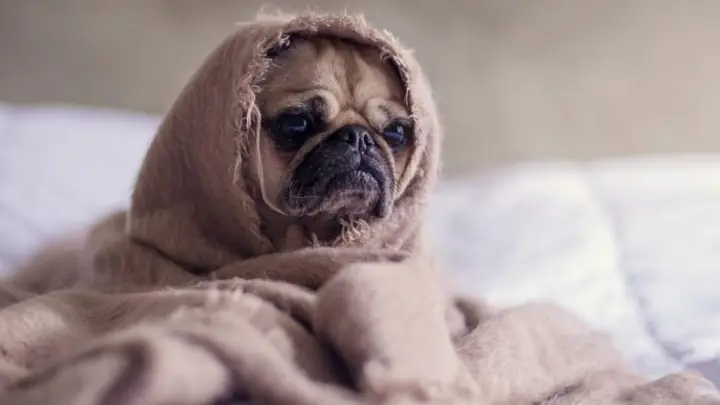 Duy Trì Độ Ẩm Không Khí Trong Khoảng 35 Đến 45%