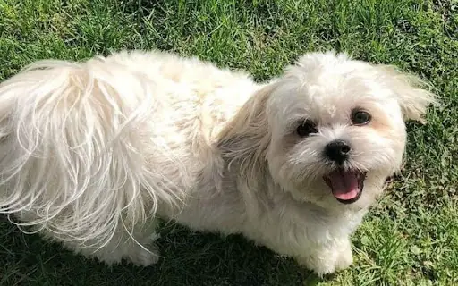 Tiếp Xúc Với Ánh Nắng, Bụi Bẩn Tiếp Xúc Với Ánh Nắng, Bụi Bẩn