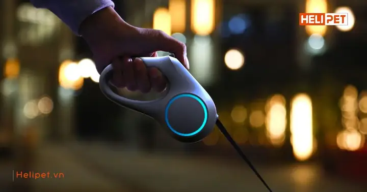 Tạo Cho Mèo Môi Trường Ngoài Trời An Toàn Tạo Cho Mèo Môi Trường Ngoài Trời An Toàn