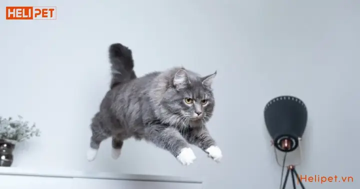 Tâm Lý Căng Thẳng Hoặc Lo Âu Tâm Lý Căng Thẳng Hoặc Lo Âu