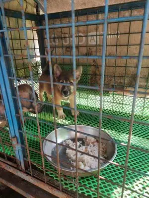 Alo Cho Tôi Để Nhận Bé