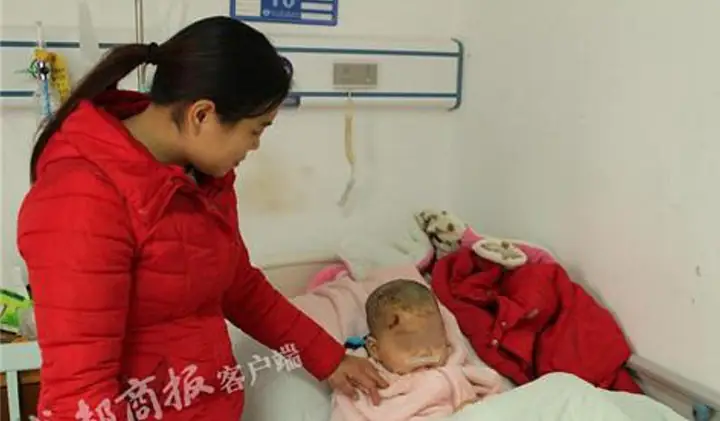 Chó Ngao Tây Tạng: Loài Vật Nuôi Đắt Tiền, Nổi Tiếng Trung Thành Nhưng Cực Kỳ Nguy Hiểm - Ảnh 3. Chó Ngao Tây Tạng: Loài Vật Nuôi Đắt Tiền, Nổi Tiếng Trung Thành Nhưng Cực Kỳ Nguy Hiểm - Ảnh 3.