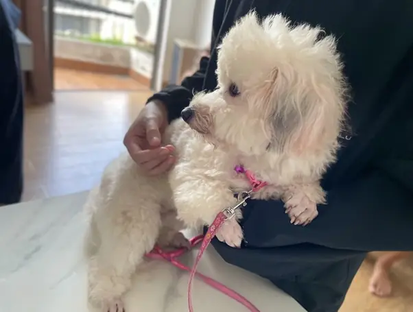 Nguyên Nhân Sinh Lý