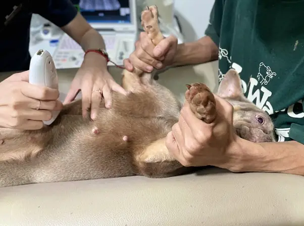 Điều Trị Y Tế