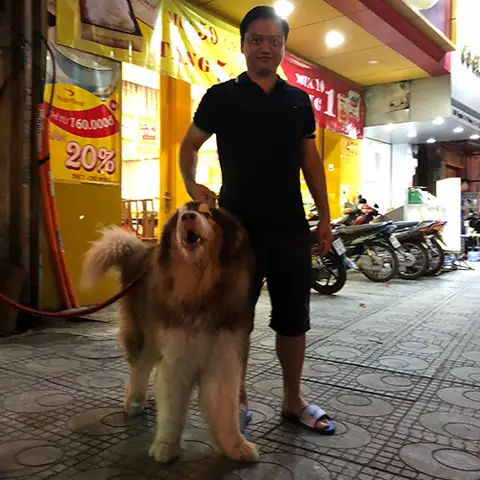 Kích Thước Cơ Thể