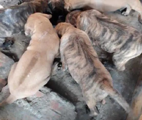 Screenshot_1717744300