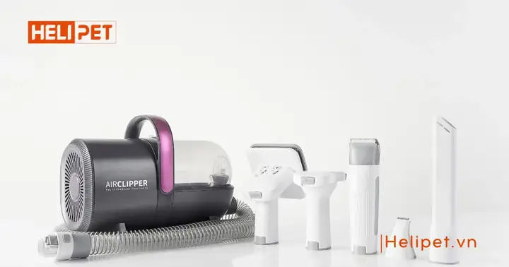 Máy Chải Hút Lông Chó Mèo Là Gì?