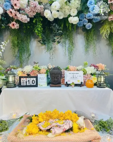 Bạn Đang Cân Nhắc Giữa Dịch Vụ Chôn Cất Và Hỏa Táng Thú Cưng?