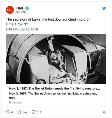 Tôn Vinh Và Bài Học Từ Câu Chuyện Laika