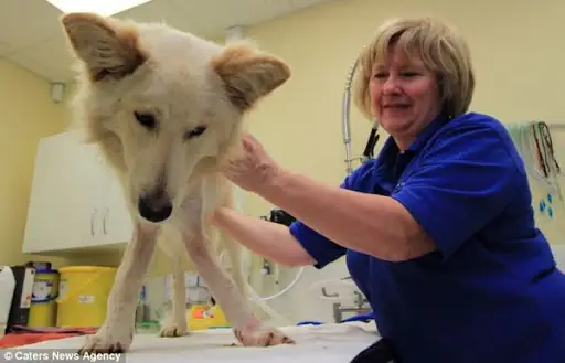 Nguyên Nhân Gây Bệnh