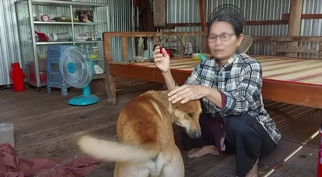 Ch㺠Chã³ Biết Nã³i Tiếng Ngæ°á»i Ná»i Tiếng Khắp Miá»n Tã¢y, Hã Ng Xã³m Phải Âná»i Da Gã  Má»i Khi Nã³ Cất Giá»ng Ch㺠Chã³ Biết Nã³i Tiếng Ngæ°á»i Ná»i Tiếng Khắp Miá»n Tã¢y, Hã Ng Xã³m Phải Âná»i Da Gã  Má»i Khi Nã³ Cất Giá»ng