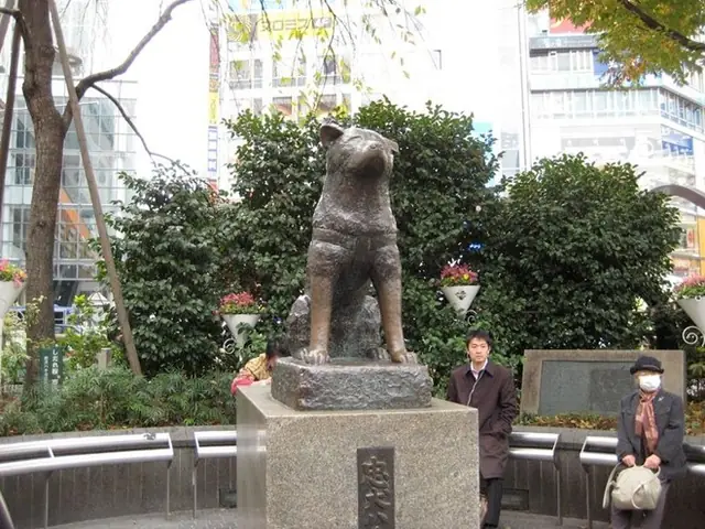 Chú Chó Trung Thành Hachiko