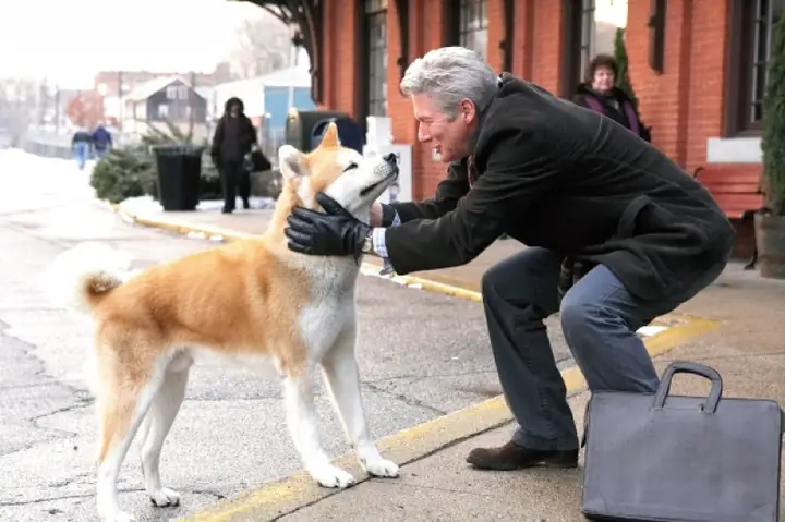 Chuyen Cam Dong Ve 5 Chu Cho Trung Thanh