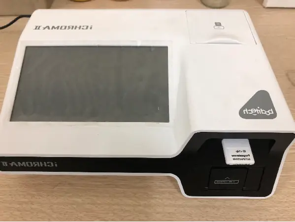 Hormone Trong Thời Kỳ Rụng Trứng Của Chó Cái