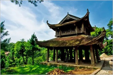 Chùa Nhận Nuôi Chó Mèo: Danh Sách Các Địa Điểm Uy Tín Và Hướng Dẫn Chi Tiết