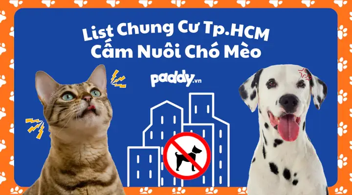 Danh Sách Các Chung Cư Cấm Nuôi Chó Mèo Tại Tphcm Danh Sách Các Chung Cư Cấm Nuôi Chó Mèo Tại Tphcm