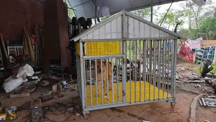 Mẫu Chuồng Chó Bằng Sắt Hộp