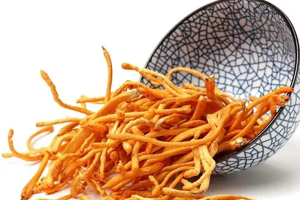 Đông Trùng Hạ Thảo Cao Cấp