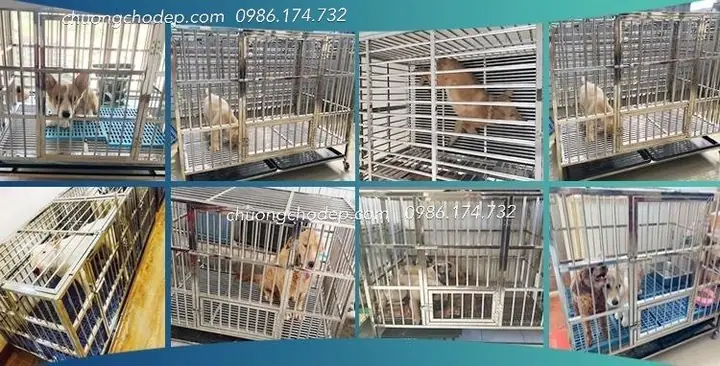 Kích Thước Phổ Biến Của Chuồng Lắp Ghép.