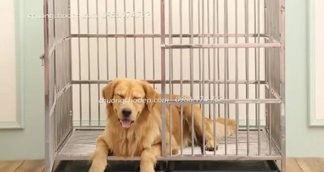 Chuồng Chó Lắp Ghép Đa Năng