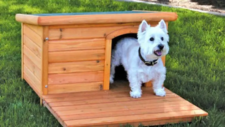 Thiết Kế, Sản Xuất Và Cung Cấp Nhà Gỗ Cho Thú Cưng Của Bạn, Chuồng Pets, Chuồng Chó Bằng Gỗ, Mèo, Cực Đẹp & Cực An Toàn – Tp Hcm, Gò Vấp, Phú Nhuận, Bình Thạnh, Quận 2, 3, 7, 9 …