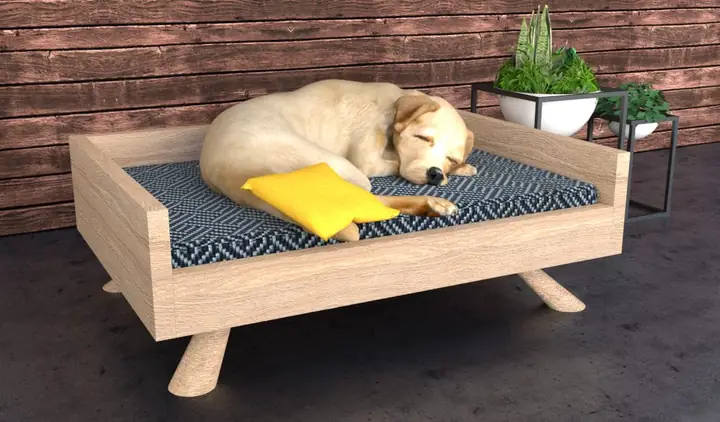 Giường Ngủ Cho Chó Mèo Bằng Gỗ Có Điểm Gì Nổi Bật