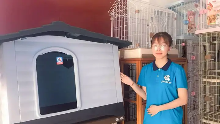 Chuồng Chó Nhựa Lắp Ghép: Hướng Dẫn Toàn Diện Cho Chủ Nuôi