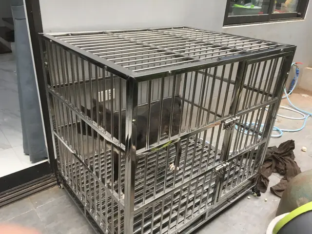 Chi Tiết Chuồng Cho Chó Nặng Từ 20-30kg