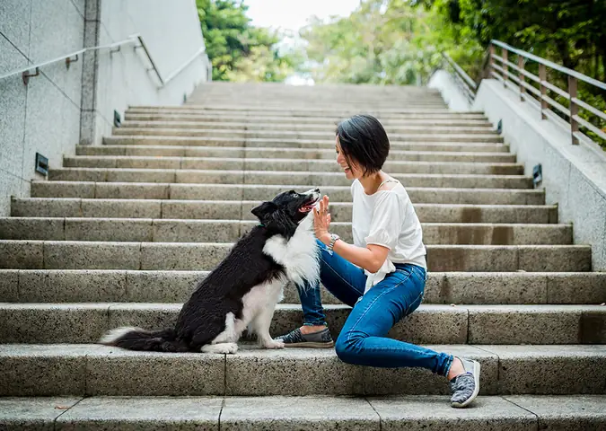 Chụp Ảnh Với Chó Cưng