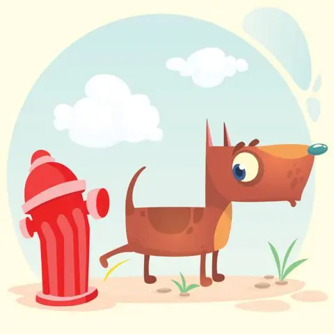 Clip Chó Mèo Hài Hước: Những Khoảnh Khắc Đáng Yêu Và Bài Học Về Hành Vi Động Vật