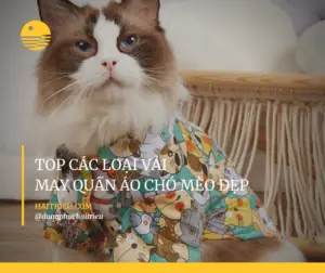 Top Cac Loai Vai May Quan Ao Cho Meo Thu Cung Dep