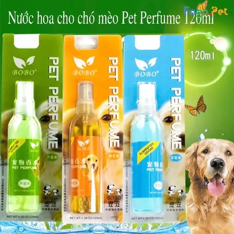 Có Nên Xịt Nước Hoa Cho Chó Không?