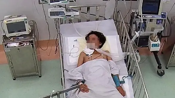 Rắn Cắn Đến Bệnh Viện, Chó Cắn Tiêm Vắc Xin - Ảnh 1. Rắn Cắn Đến Bệnh Viện, Chó Cắn Tiêm Vắc Xin - Ảnh 1.