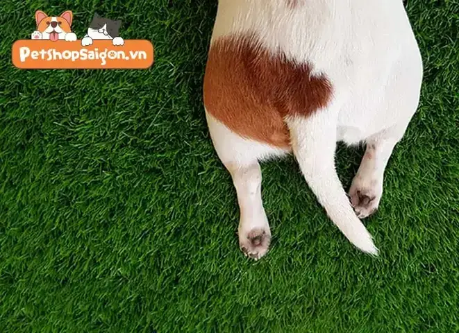 Phương Pháp Xử Lý Và Khắc Phục Hiệu Quả