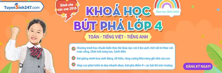 Con Gà Và Con Chó