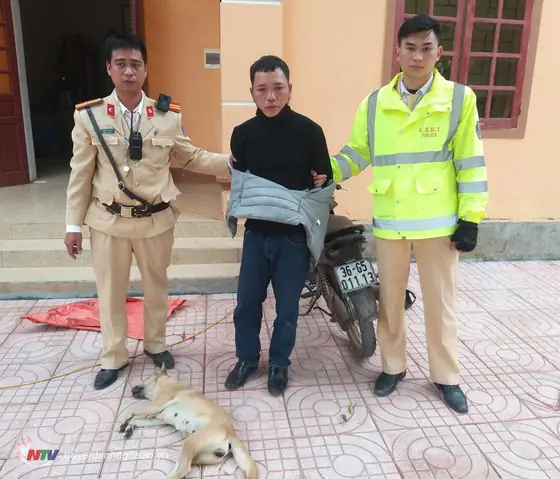 Công An Bắt Đàn Chó