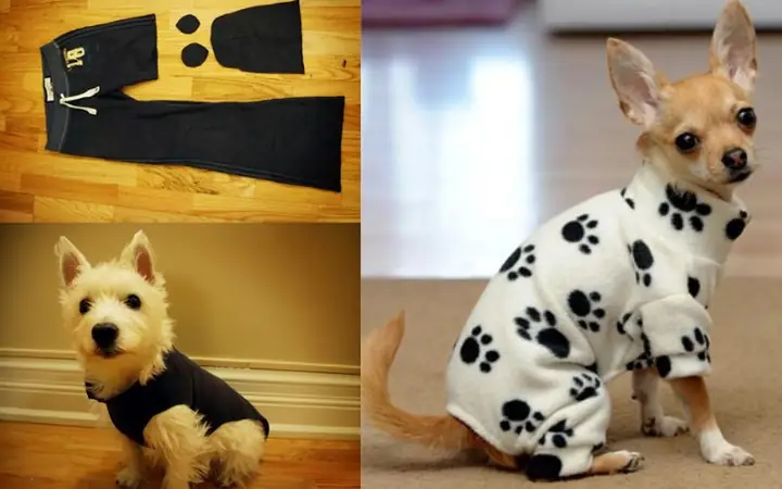 Bước May Áo Cho Chó Từ Quần Áo Cũ