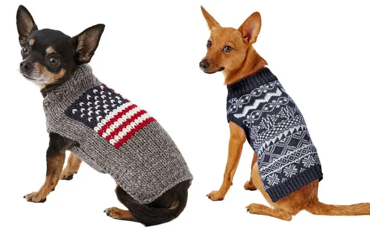 Cách May Áo Cho Chó Đơn Giản, Dễ Làm Ngay Tại Nhà