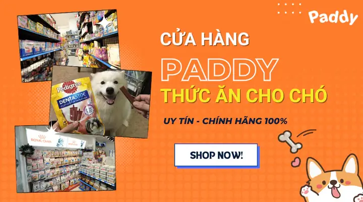 Mua Thức Ăn Cho Chó Ở Đâu Tại Sài Gòn, Đảm Bảo Hàng Chính Hãng 100%? Mua Thức Ăn Cho Chó Ở Đâu Tại Sài Gòn, Đảm Bảo Hàng Chính Hãng 100%?